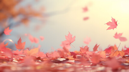 falling autumn leaves and branches nature in light translucent soft color pastel tinting on a sunny day