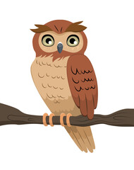 Vector illustration of cute owl birds isolated on white background. Funny feathered animal sitting on tree branch with bulging eyes