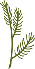Coniferous Branch Icon