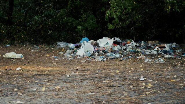 Garbage dump organized in a forest recreational area