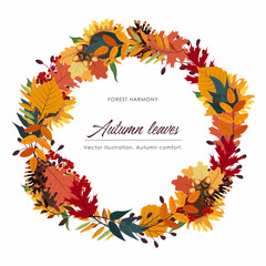 Autumn leaves, vector illustration, autumn composition