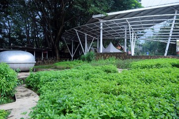 Sentul City – March 12, 2016:  Sentul City is a modern housing area situated at Sentul, Babakan...