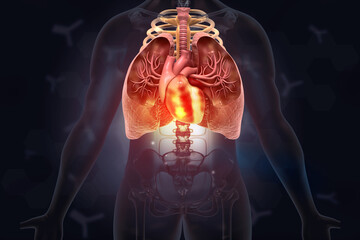 Human respiratory  system on scientific background. 3d illustration..
