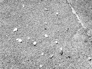 Abstract vector grunge texture with scattered fallen leaves on asphalt. Autumn background. Overlay template, stencil in grunge style. Design element
