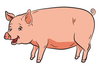  Vector Illustration cartoon of pink Pig.
