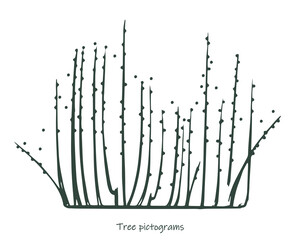 Sketch shoot plant tree vector illustration hand drawn21