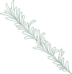 Line art watercolor flower illustration