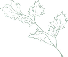 Fototapeta premium Line art watercolor flower illustration