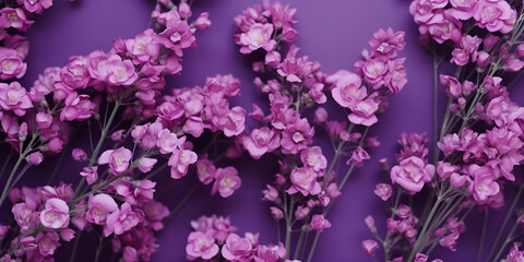 purple lilac flowers border beautiful image happy mothers day concept womens day,Purple Wallpaper 