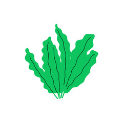 Coral. Underwater plant. Vector illustration in scandinavian style. Seaweed.
