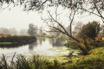 Nad rzeką © Magdalena