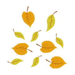 Collection of Fallen Autumn Leaves for Design Element Templet