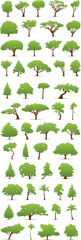 Fototapeta premium Tree Collection
