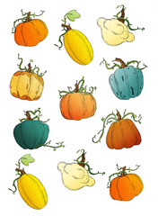 Pumpkins and squashes 