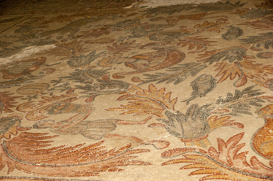 Mount Nebo. Ancient mosaics on floor, created in 6th century. Close-up. Fragment of mosaic with plants, birds and animals. Madaba, Jordan, December 3, 2009