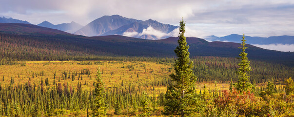 Autumn in polar tundra