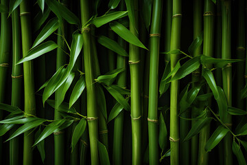 bamboo background texture