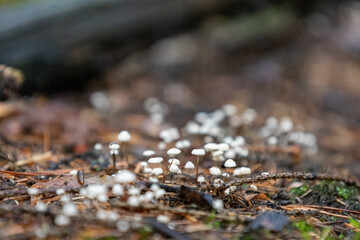 Fotografie © Marcin