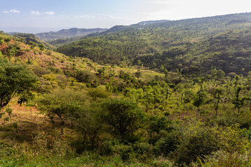 Fototapeta na wymiar View of rural landscape near Konso, Ethiopia