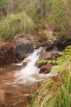 Long exposure of creek downstream from Lesmurdie Falls, Perth, Western Australia