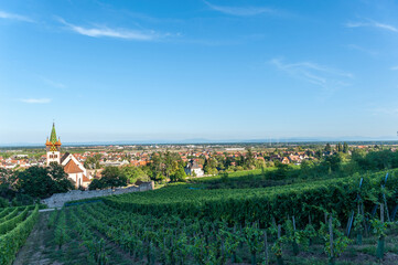 Blick von Châtenois über die Oberrheinische Tiefebene. Im Hintergrund die Hügellandschaft des...