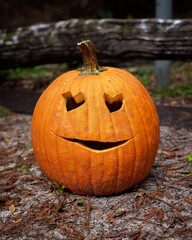 Carved Pumpkin Jack O Lantern Halloween Decoration
