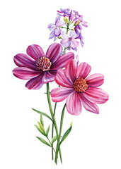 Pink Wildflower Watercolor. Beautiful bouquets of flowers on isolated white background, watercolor botanical painting