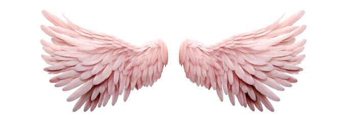 Fototapeta na wymiar Pink Symmetrical angel Wings. Front view. Isolated on Transparent background.