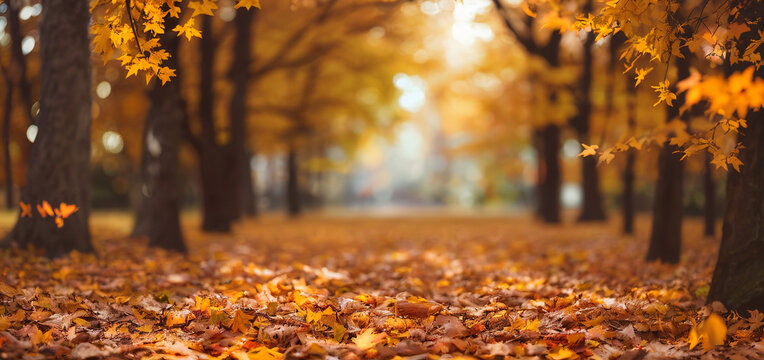 Fall Facebook Banner Images – Browse 275 Stock Photos, Vectors, and ...