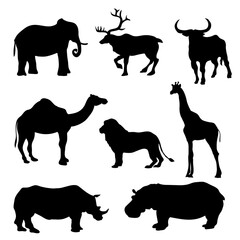 Vector illustration silhouette of different animals.
