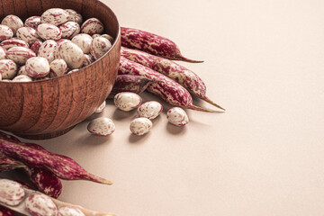 Cranberry beans. Fresh Organic Borlotti bean pods in bowl. Stylish modern food background. Magenta color. Creative foodstuff image. Grocery, dietary backdrop. Advertising, trendy magazine publication.