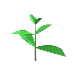 3D Growing Business Infographic - Positive Growth Tree in Coins