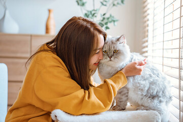 Happy young asian woman hugging cute grey persian cat on couch in living room at home, Adorable domestic pet concept. © oatawa