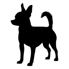 Chihuahua dog silhouette icon symbol. Vector illustration
