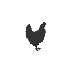 Chicken icon, silhouette, logo on white background. Vector
