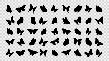 Collection of butterfly silhouettes on transparent background. Vector illustration
