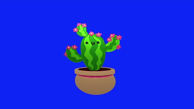 Animation loop video cartoon cactus on blue screen background ,remove blue screen background on your video editing software
