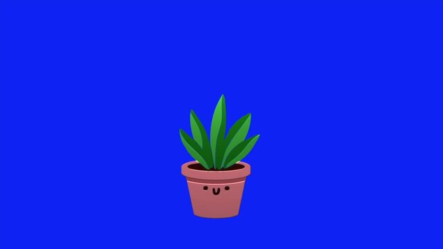 Animation loop video cartoon of a swaying flower pot on blue screen background ,remove blue screen background on your video editing software
