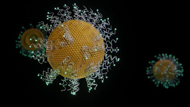 The attachment of specific antibodies to the surface of the liposomes makes them able to bind to cells and to subsequently be internalised by the cells. Protein conjugated liposome 3d rendering.
