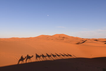 Shadows in the sand of people on a camel through the Sahara desert. Erg Chebbi Merzouga Morocco