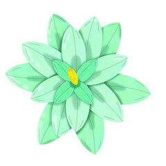 Obraz premium flower isolated on white