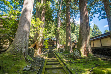 福井 夏の木漏れ日と緑の苔に彩られた永平寺の唐門
