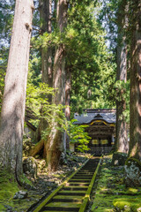福井 夏の木漏れ日と緑の苔に彩られた永平寺の唐門