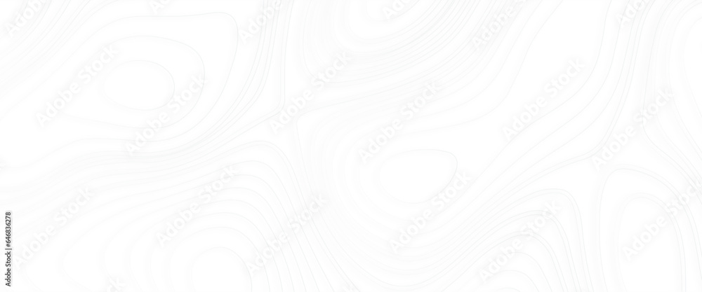 Poster abstract topographic contours map with a transparent background, topography map background. vector