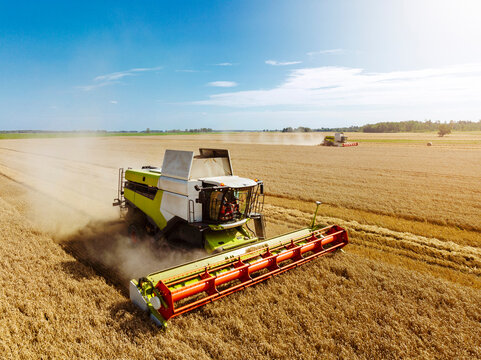 Aerial view of agriculture field with grain harvesting combine machines during sunny summer morning