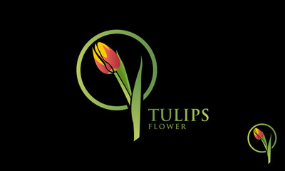 Tulips Flower Logo Design Template. luxurious beauty flower logo spa salon cosmetics brand. 