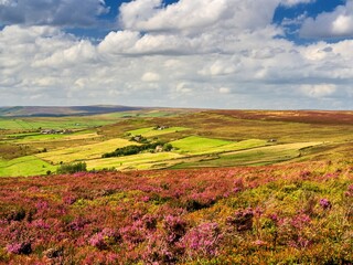 Midgley Moor in Yorkshire and the late summer sun illuminates the far moors