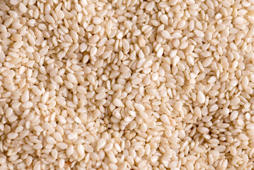 Sesame seeds. Textured background of seeds of Sesame very close up.