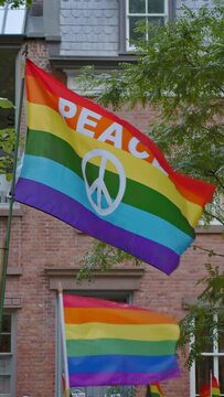 LGBT peace flag waving in Christopher Park, New York City, vertical shorts