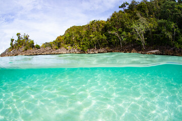 Warm, clear water surrounds the limestone islands that are common throughout Raja Ampat, Indonesia....